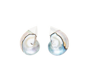 Blue nautilus shell Earrings