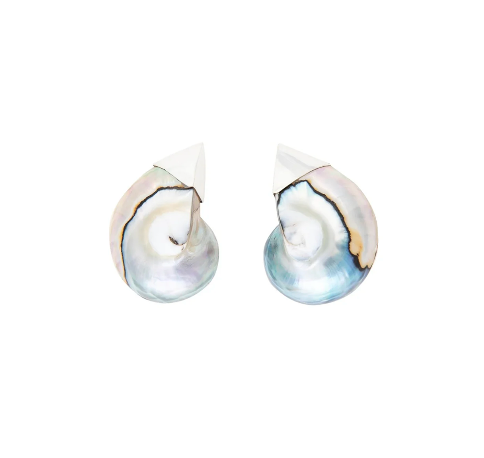 Blue nautilus shell Earrings