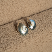 Blue nautilus shell Earrings