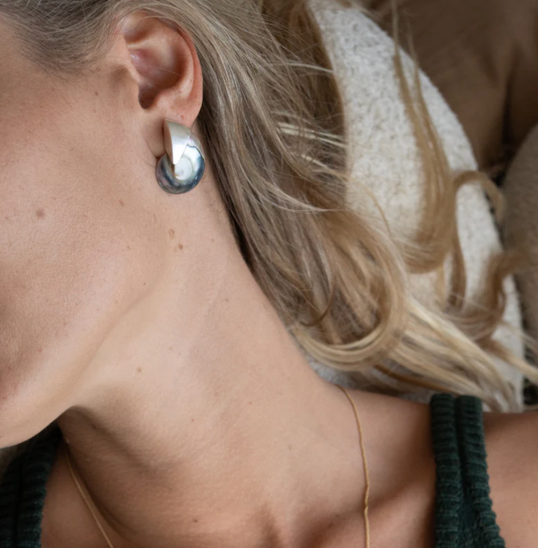 Blue nautilus shell Earrings