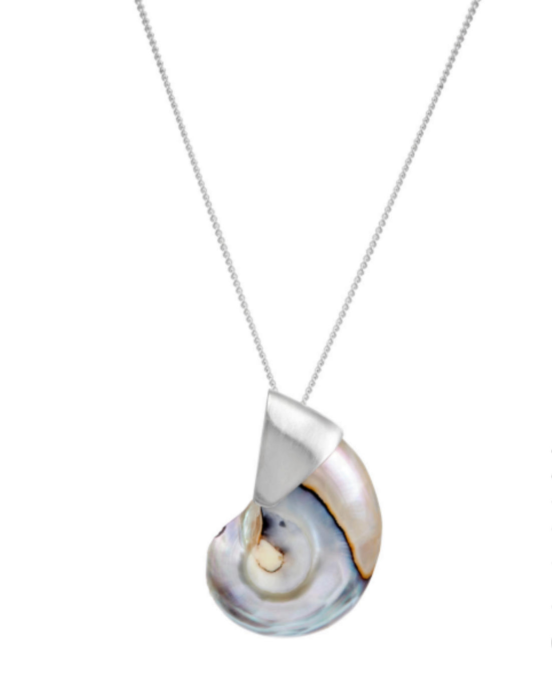 Blue nautilus neckless